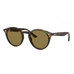 ÓCULOS RAY BAN 2180 71073 49